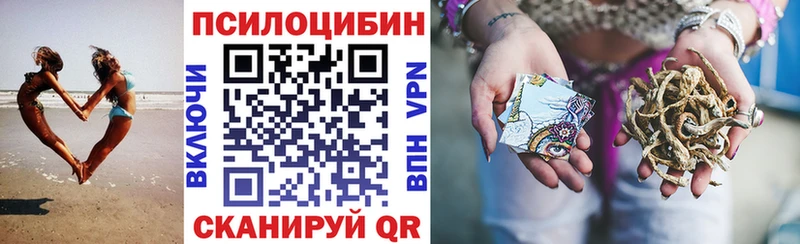 Псилоцибиновые грибы мухоморы  Волхов 
